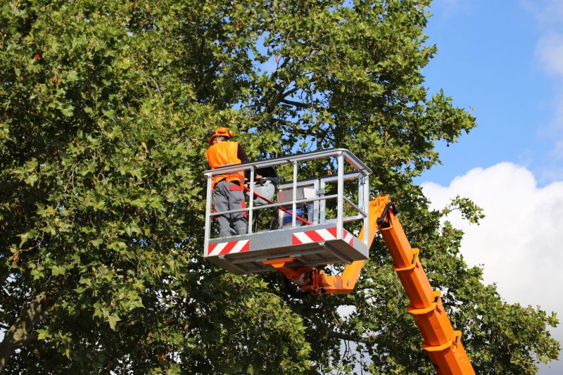 Commercial Tree Service in Aiken, SC