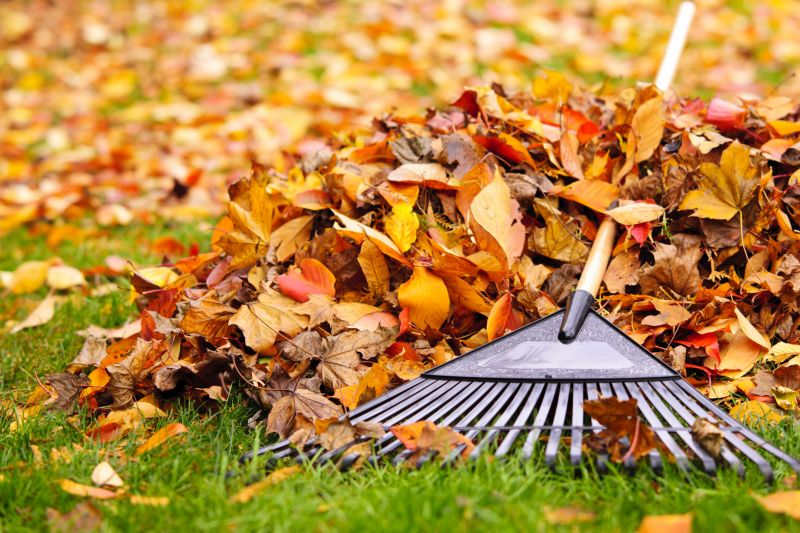 Leaf Raking Service