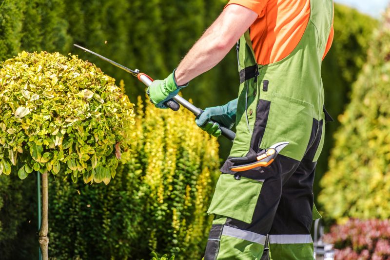 Shrub Shaping in Ventura County, CA