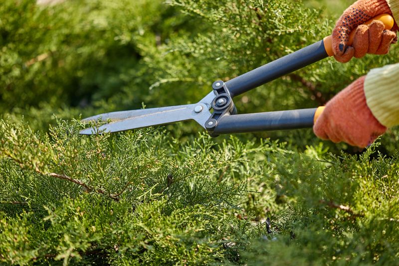 Shrub Trimming in Honolulu, HI